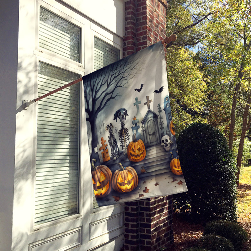 Double Sided 40'' H x 28'' W Polyester Halloween House Flag
