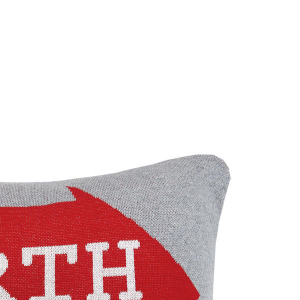 Alura 24" x 24" Cotton Throw Pillow, North Pole