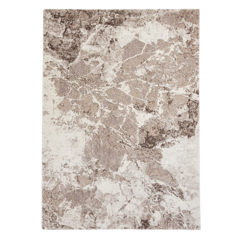 Hannover area rug Machine Woven Rectangle Beige/Silver, Rectangle 120 x 170cm
