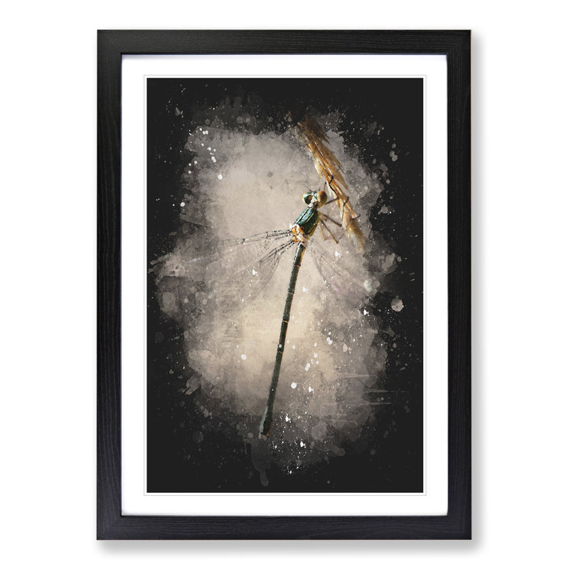 Dragonfly Vol.4 - Picture Frame Graphic Art, 36cm H x 27cm W x 2cm D, Black