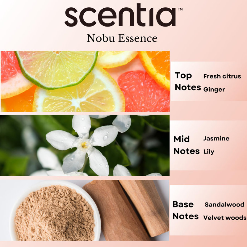 Huile pour diffuseur Scentia Resort - Inspiré par Nobu, huile parfumée pour la maison, le bureau et le salon (20 ml / 0,67 oz liq.)