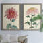 Toile de chrysanthème-1154156161-1154156166