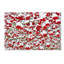 "baies d’hiver dans la neige" par kurt shaffer, reproduction de photo sur toile tendue-13906624