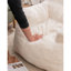 Teddy Bean Bag Chair
