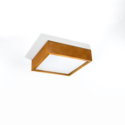 Adaysia Flush Mount