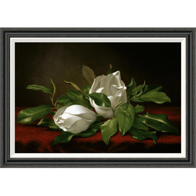 " Magnolia " by Martin Johnson Heade