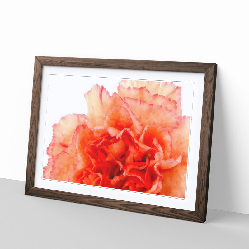Orange Carnation Flower - Picture Frame Graphic Art Print, 45cm H x 63cm W x 2cm D, Walnut Framed