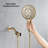 Handheld Shower Head 1.8 GPM GPM-88320305
