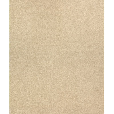 Starlight Fabric
