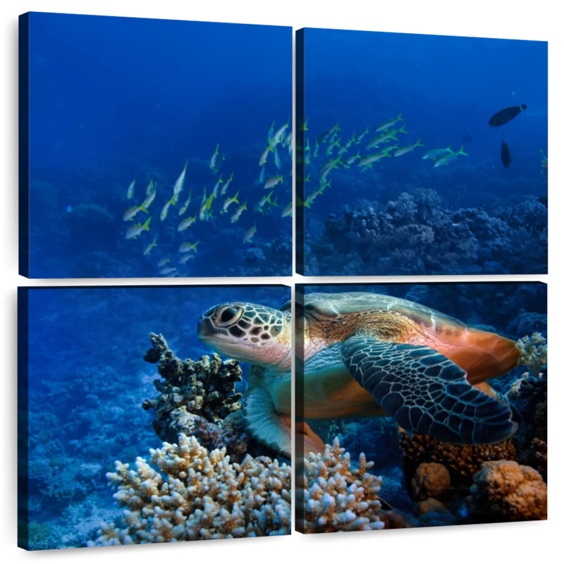 Brampt Corals And Turtle, 26" H x 26" W