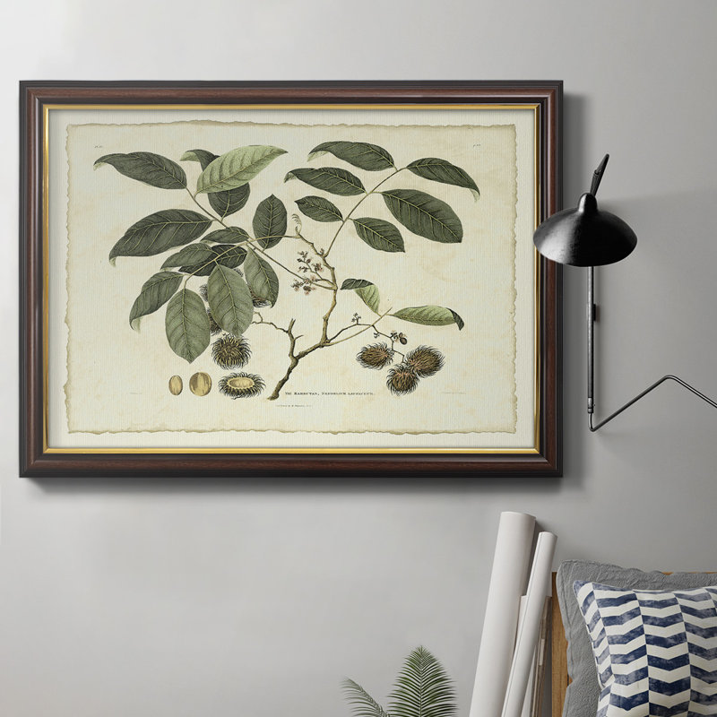 Delicate Botanical III " Delicate Botanical III ", 16" H x 20" W x 1" D