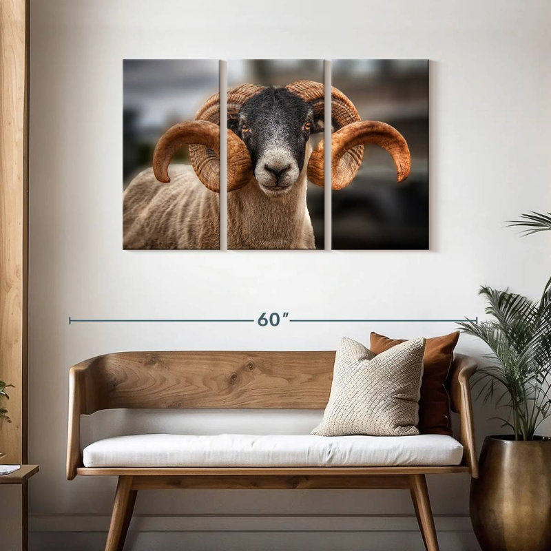Brampt Scottish Blackface Ram, 28" H x 45" W