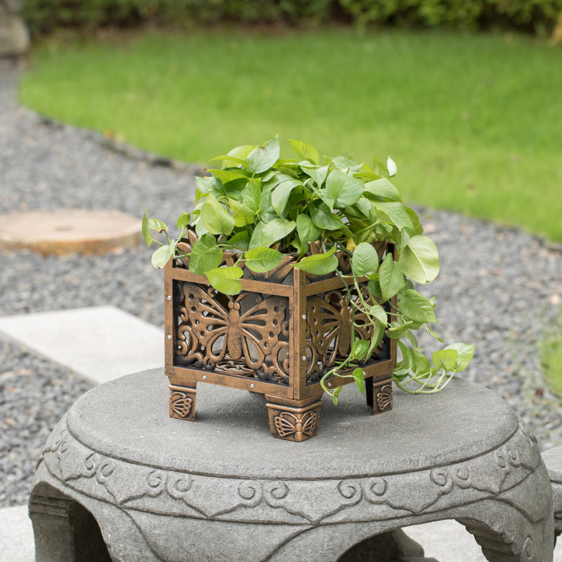 Support pour plante d'extérieur papillon, Brun, H 12,50 po x l 10,50 po x P 10,50 po