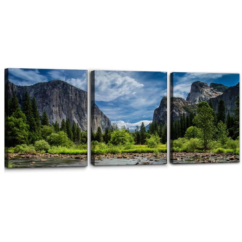 3 Piece Wrapped Canvas Wall Art