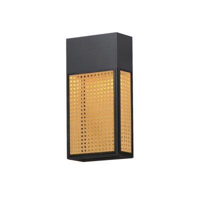 Achsa LED Wall Light