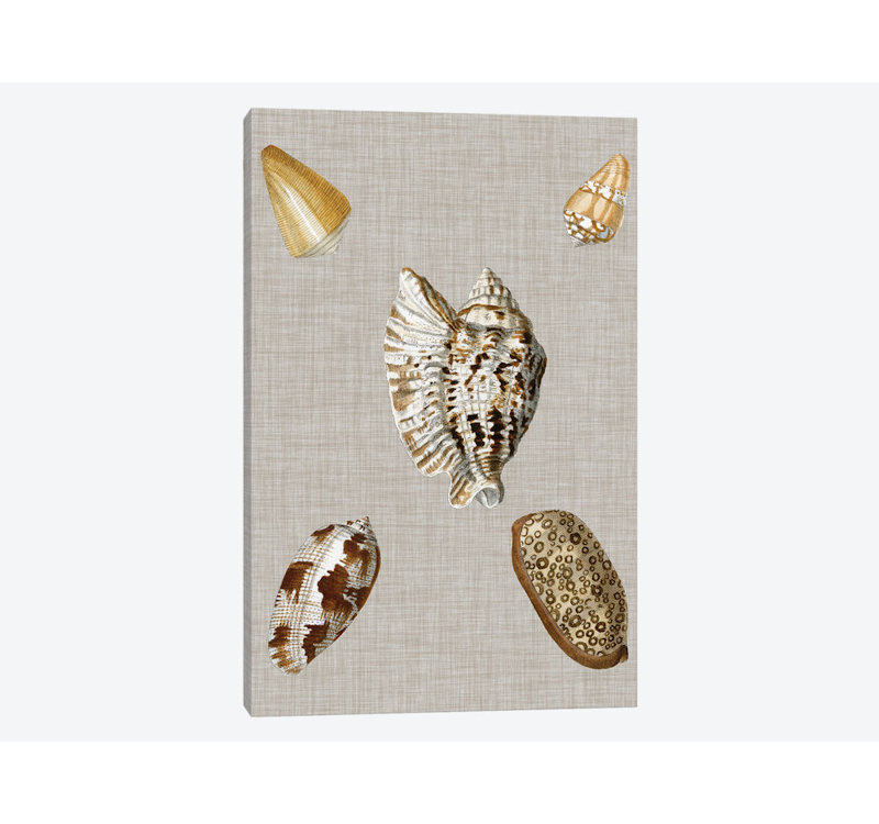 « shells on linen i », reproduction d’impression sur toile tendue, H 26 po x l 18 po x P 1,5 po, Pas de tapis, Toile tendue
