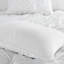 FE-848165313282 Comforter