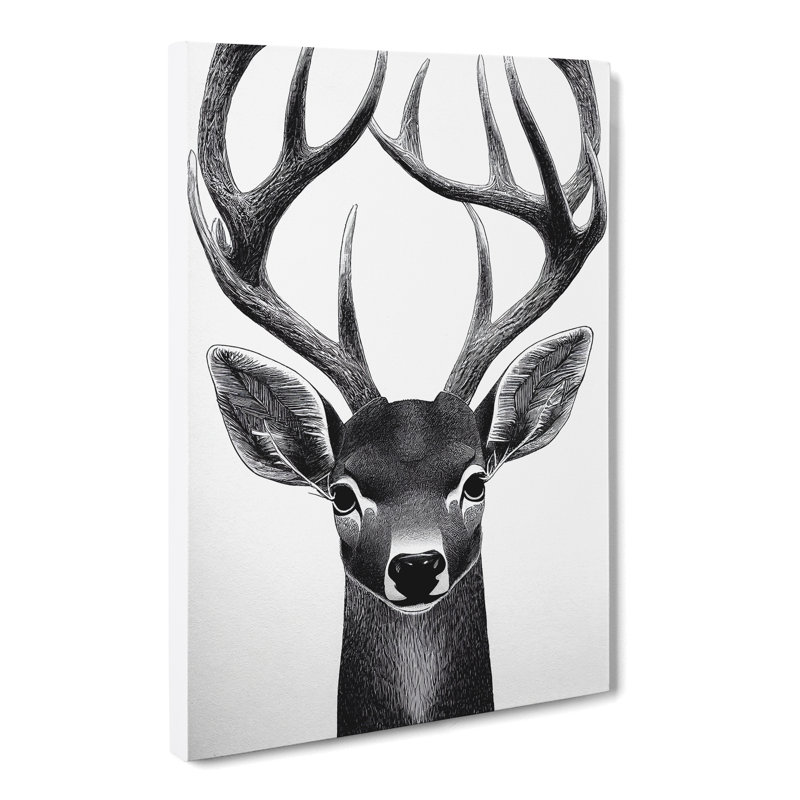 Tuscola Face Of A Deer - Wrapped Canvas Print, 50cm H x 35cm W x 3cm D
