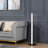43.64'' Matte LED Task Floor Lamp Set