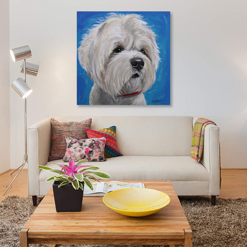 « maltais shihtzu mix pipa », reproduction sur toile tendue Hippie Hound Studios, H 12 po x l 12 po x P 0,75 po, Toile tendue
