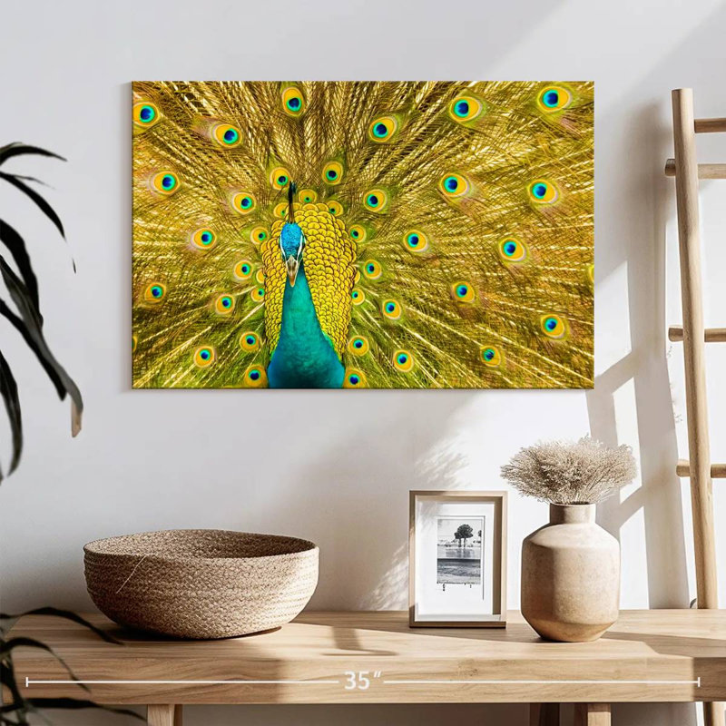 Brampt Glorious Peacock Feather, 16" H x 24" W