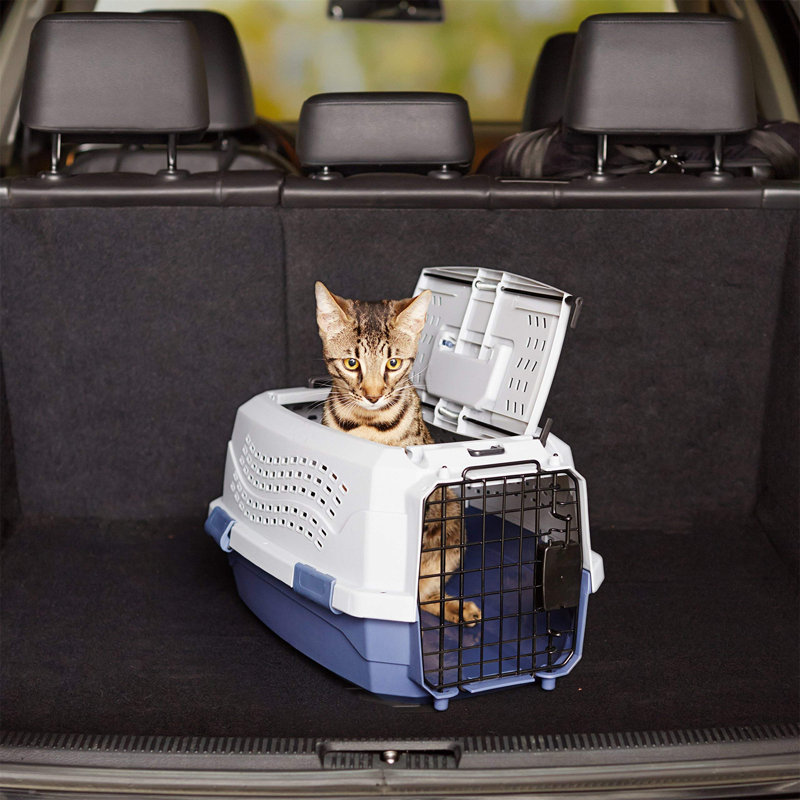 Marcus Pet Carrier