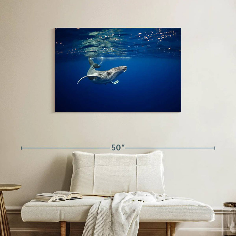 Brampt Humpback Whale In The Sea, 26" H x 39" W