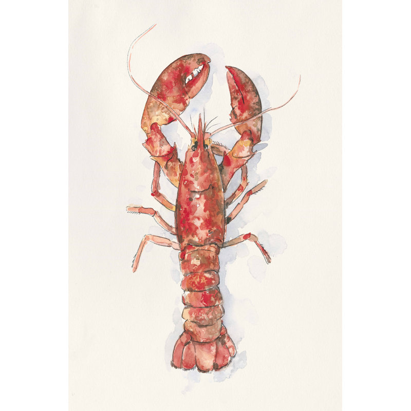 Homard salé I, H 12 po x l 8 po