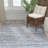 Montauk Hand Woven Performance Chevron Rug-642891643