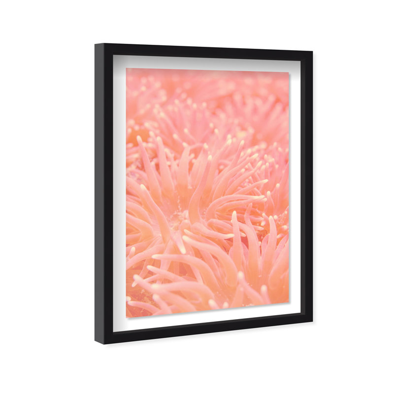 Deep Sea Flowers Shadowbox Nautical & Beach Print by Oliver Gal, Black Frame, 10 x 15, 55.5"H x 37.5"W, Black Shadowbox
