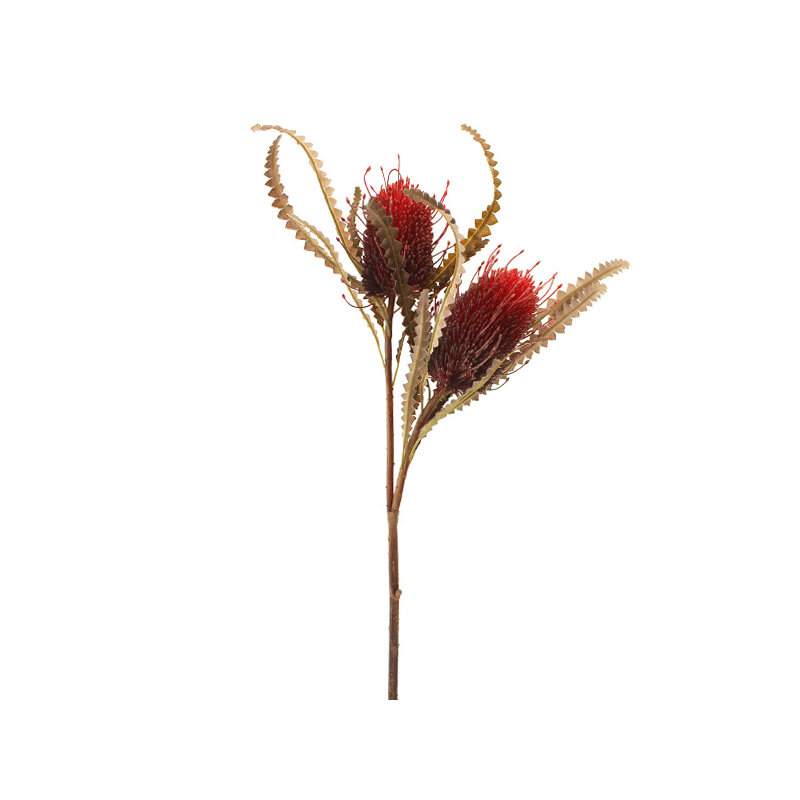 Protea Arrangement