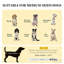 Lit surélevé portatif pour chien pour l'intérieur et l'extérieur
