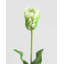 «Real Touch» perroquet blanc 27 po-287527651