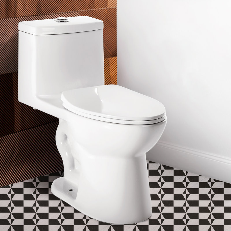 Toilette allongée une pièce, hauteur confort 16,6 po ADA avec chasse d'eau siphonique puissante, glaçage autonettoyant Nano, couvercle mince à fermeture en douceur, installation facile, certifié CUPC et Map1000g, brute de 12 po