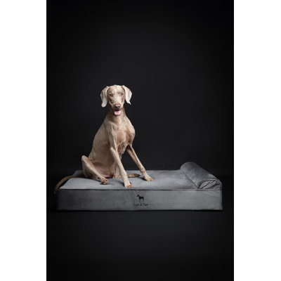 Noah & Paw XL Dog Bed, Orthopedic Large Dog Beds, Eggshell Memory Foam Infused with Cooling Gel, Waterproof, Machine Washable, Includes Inner Cover (Velvet Collection)