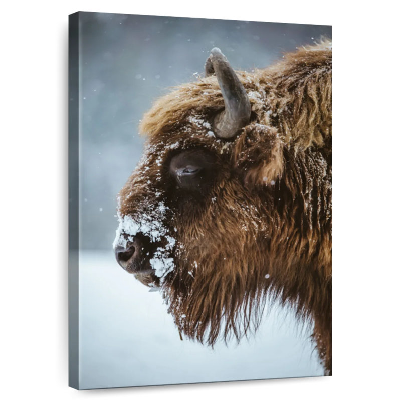 Bison enneigé Brampt, H 48 po x l 32 po
