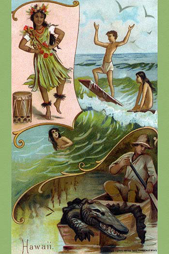 Hawaii-impression d’art graphique, H 66 po x l 44 po