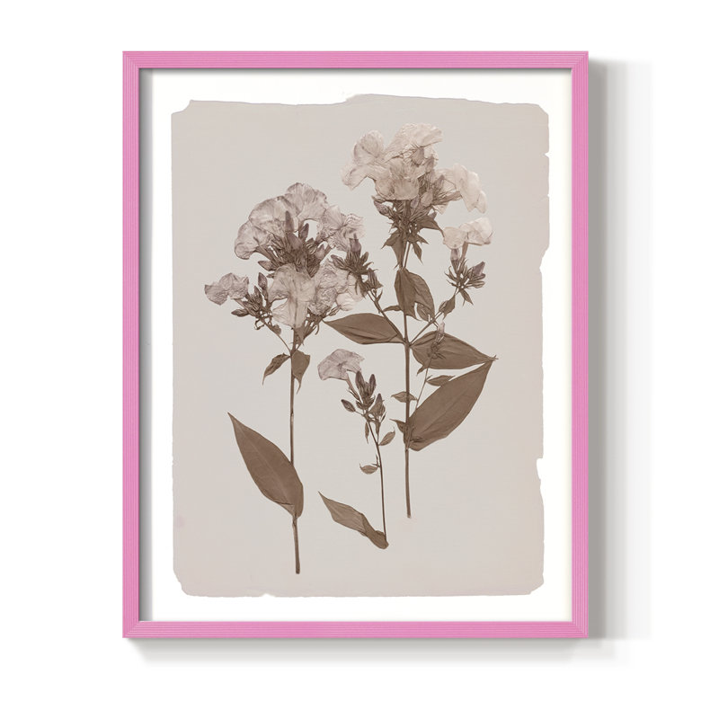 Impression encadrée monochrome Botanical II - bois massif, Rose, H 11 po x l 9 po