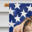 Polyester à 2 côtés 28 x 40 po drapeau maison-1879434045