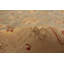 Tapis d’intérieur en laine orange/rouge 9 pi 1 po x 12 pi 2 po à la main one-of-kind-noué la 2010 ushak Gunnlog