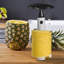 Belfry Kitchen Starr Corer