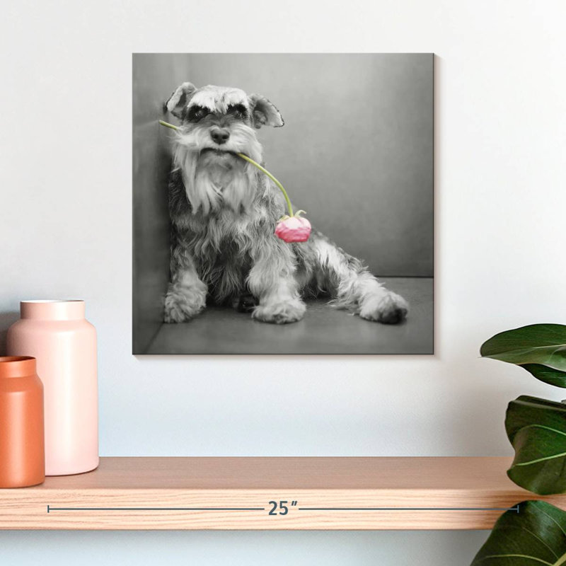 Brampt Ziggy BW, 16" H x 16" W