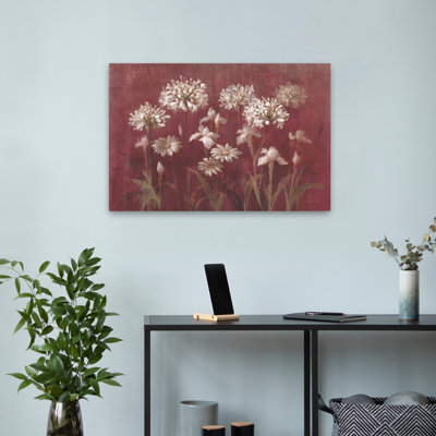 Agapanthas Daisies - Fleurs de jardin