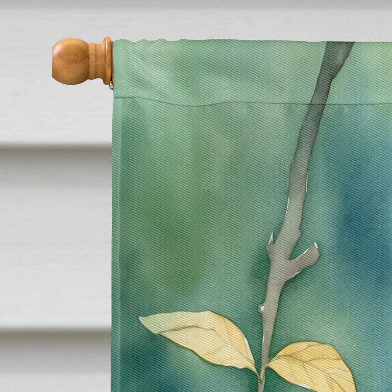 Drapeau pour la maison, Grive du Vermont