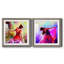 Danseuse - ensemble de 2 cadres photo-726299017-726299026