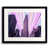 Purple selected