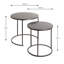 2 Piece Nest of Tables