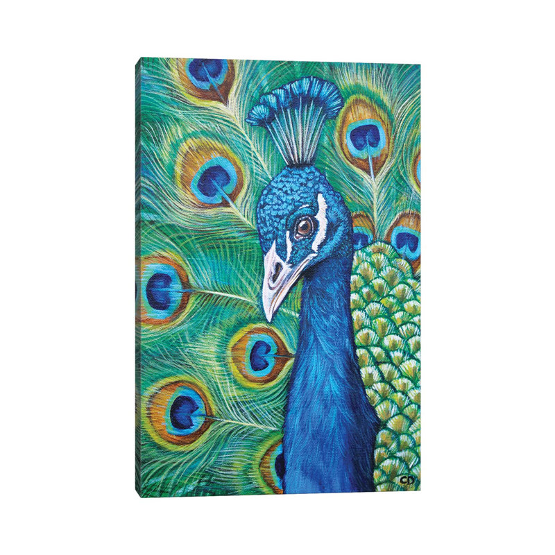 Peacock by Cyndi Dodes - Wrapped Canvas Gallery-Wrapped Canvas Giclée, 20.32 cm H x 30.48 cm W