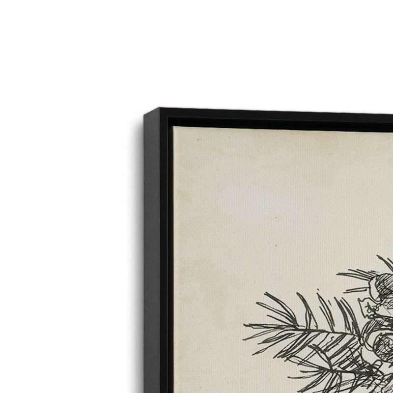 «Christmas Conifers II» par Ethan Harper, reproduction d'art sur toile, H 32 po x l 48 po, Noir
