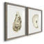 «Neutral Oyster Study I-Premium», reproduction d'art encadrée - prête à être accrochée-1552336108-1552336109